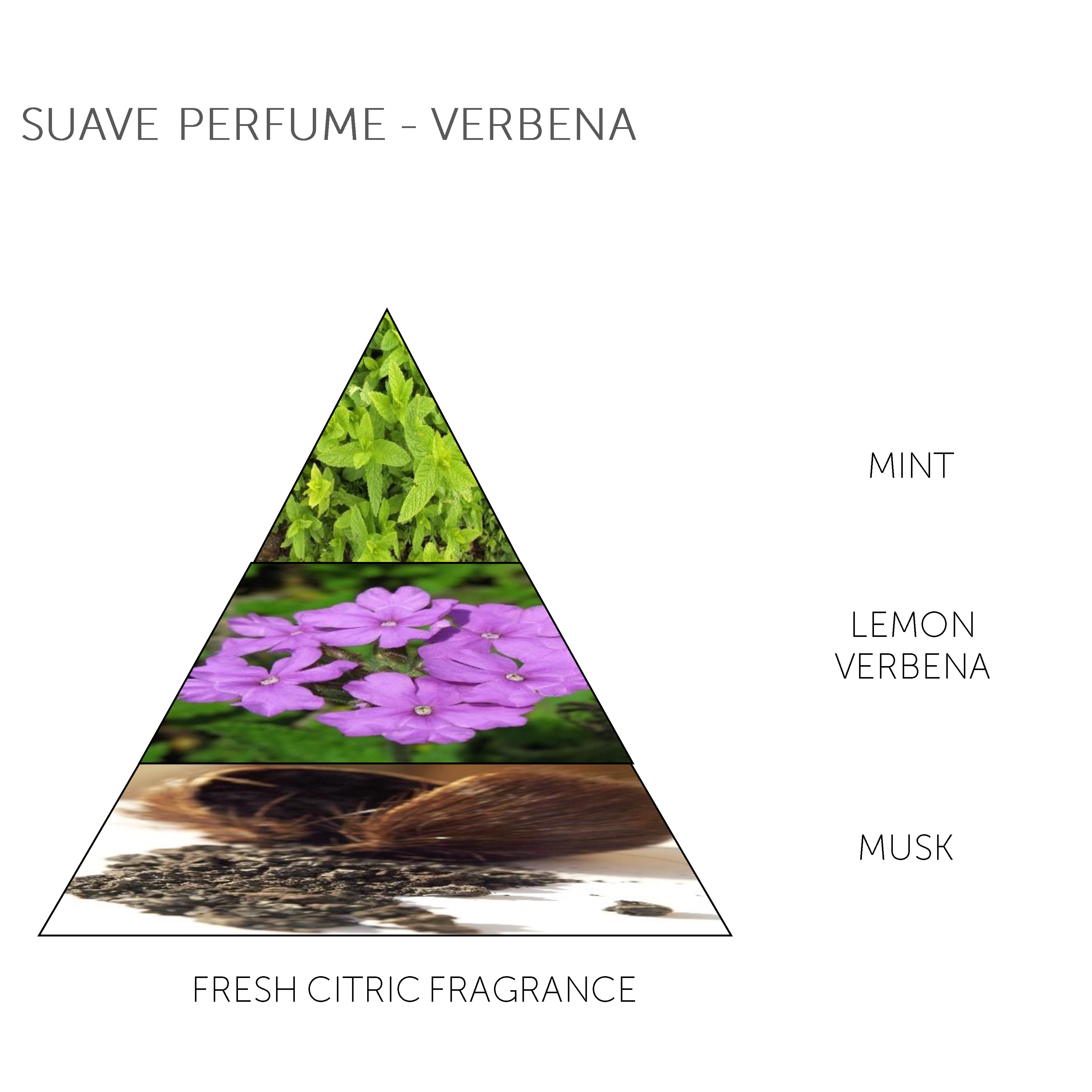 Claus Porto Mini Soap Bar Suave Perfume Verbena 50g - 4.1 - CP-CMS008