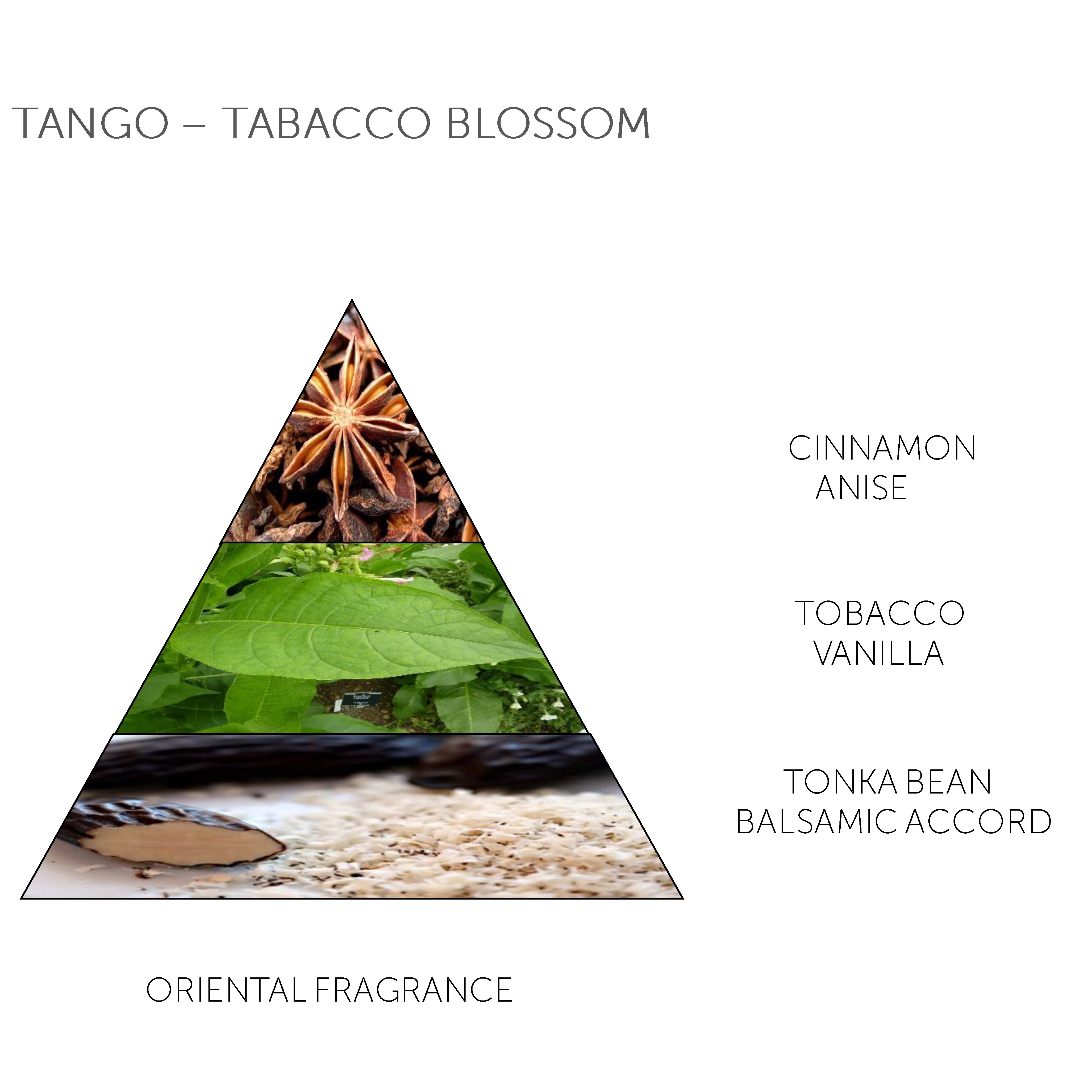 Claus Porto Mini Soap Bar Tango Tobacco Blossom 50g - 4.1 - CP-FMS009