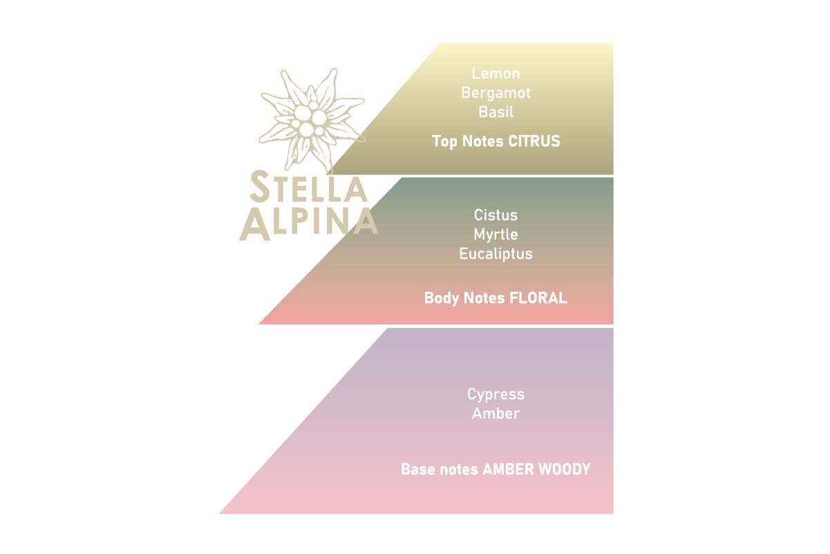 Eau de Parfum Stella Alpina
