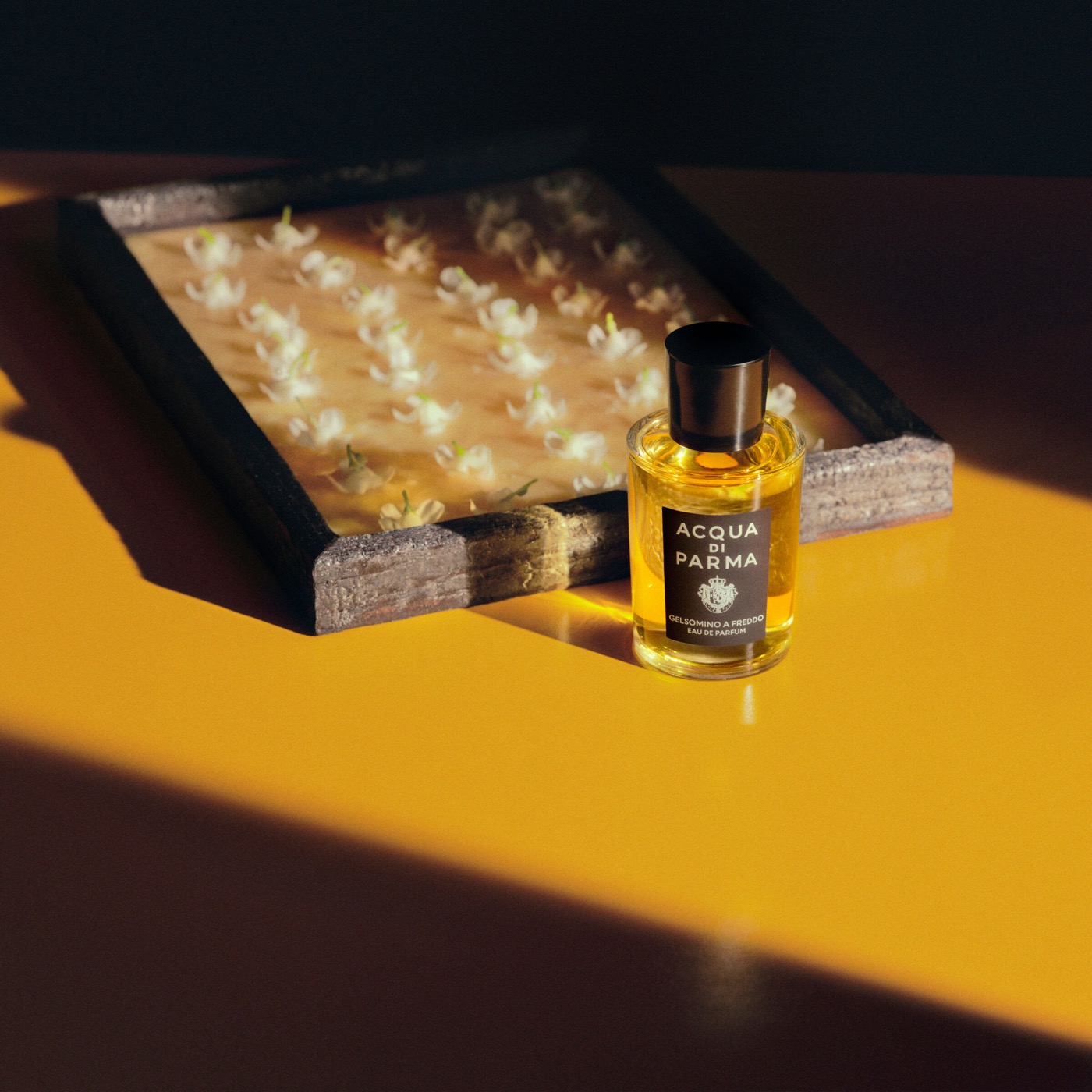 Eau de Parfum Gelsomino A Freddo - Signatures of the Sun
